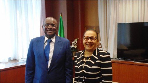 Vers un nouveau dispositif dans la lutte contre la corruption dans le droit interne gabonais