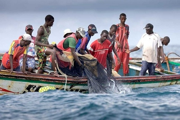 Gabon : la pêche suspendue dans l’estuaire du Komo après la mort suspecte des poissons