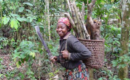 Le ministère de la Prévoyance sociale produit un rapport sur la condition féminine au Gabon