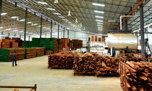 La ZERP de Nkok a produit 114 480 m3 de feuilles de placage et 286 697m3 de bois plaqués en 2017