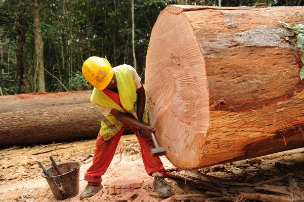 Recettes de l’État : le Gabon veut lancer en décembre une étude pour évaluer la contribution du secteur forêt-bois