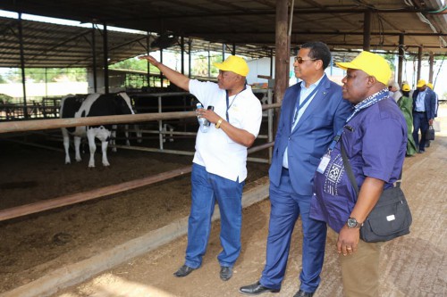 La CEMAC s&#039;inspire de l&#039;expérience agricole et agro-industrielle israélienne