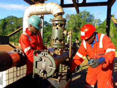 maurel-prom-malgre-un-repli-le-gabon-reste-crucial-pour-l-activite-du-groupe-au-1er-semestre-2025