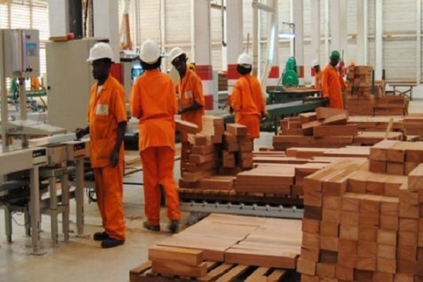 Ali Bongo promet de créer 50 000 emplois en 5 ans grâce à la transformation du bois