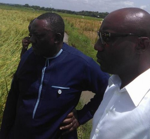 Le Gabon veut conclure un accord de coopération agricole avec le Bénin pour la culture du riz
