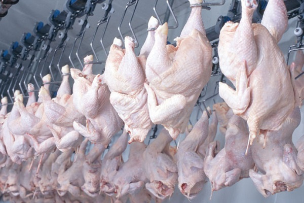 Face à une demande toujours croissante, le Gabon veut réduire ses importations de viande de volaille