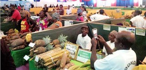 Le Gabon veut faire du développement agricole, l’un des grands défis du septennat