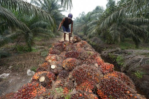 La France durcit le ton sur la question de l’huile de palme
