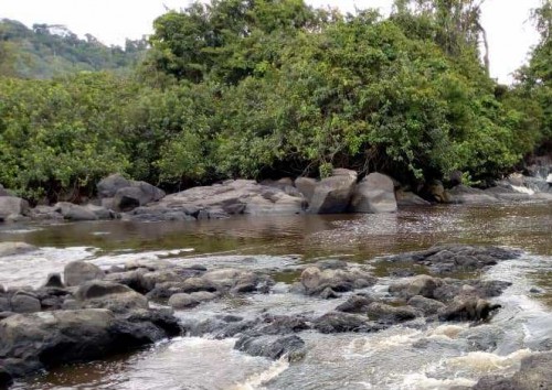 Les projets de construction des barrages de Booué et de Tsengué-Lélédi se concrétisent