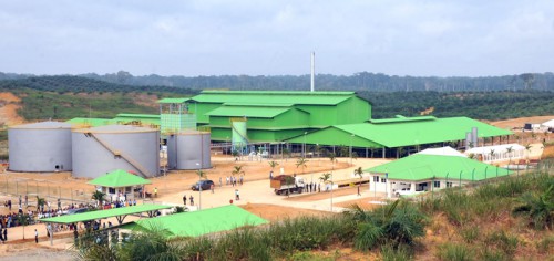 L’usine de production d’huile de palme d’Awala exporte ses premières cargaisons