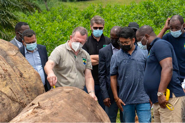 Le Gabon teste avec succès son système de traçabilité du bois à Ntoum et dans la zone économique de Nkok