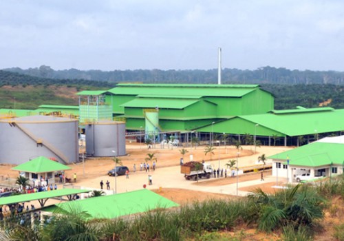 Olam Palm Gabon recrute 150 opérateurs agricoles
