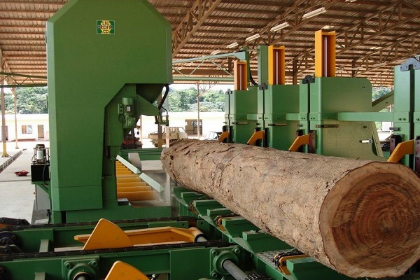 Industrie du bois : la baisse des commandes asiatiques fait chuter l’activité au Gabon