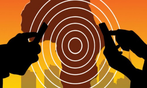 Le Gabon intègre le Réseau unique africain