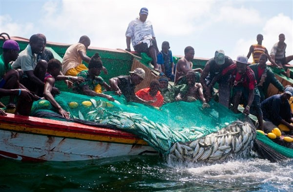 Le Gabon sollicite l’expertise ivoirienne pour développer sa pêche artisanale hauturière
