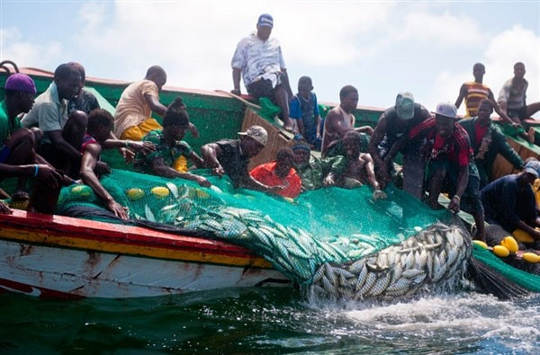 le-gabon-sollicite-l-expertise-ivoirienne-pour-developper-sa-peche-artisanale-hauturiere