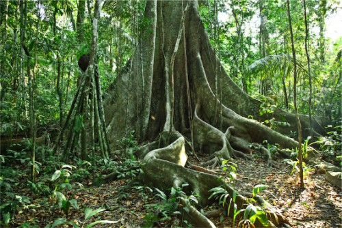 La 16ème Conférence ministérielle africaine sur l’environnement(CMAE), s’ouvre ce 12 juin 2017, à Libreville