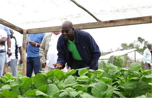 Le Gabon et la FAO examinent les axes d’intervention de leur coopération sur la période 2017-2021