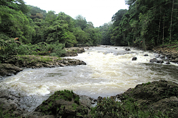 Barrages : le Gabon accorde des facilités fiscalo-douanières à Asonha Energie, Louetsi Hydro et Asokh Energy