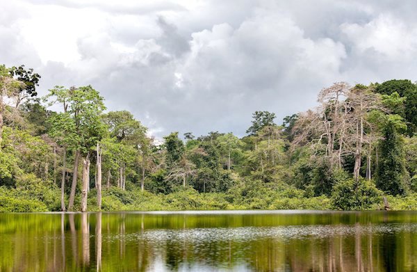 Le Gabon classé 3e pays africain dans l’Indice de performance environnementale 2020