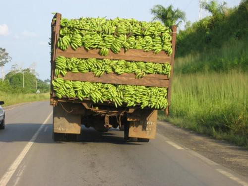 Le nombre élevé d’intermédiaires augmente de 42% le coût des transactions sur les produits agricoles, sur le corridor Cameroun-Gabon