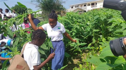 Au Gabon, la FAO place la jeunesse au cœur de la célébration de la Journée mondiale de l’alimentation