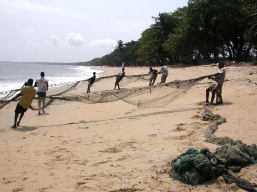 Evaluation programmée du Centre d’appui de la pêche artisanale de Libreville