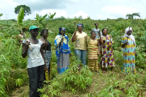 Des coopératives agricoles pour le développement de l’agriculture au Gabon