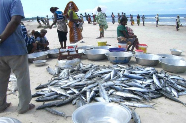 Les cinq centres de pêches actuellement en construction au Gabon ont atteint un taux d’exécution de 90%