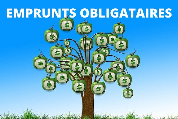 Emprunt obligataire : le Gabon recherche 150 milliards FCFA sur le marché pour financer son plan de développement