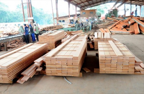 La BAD élabore dix axes stratégiques pour l’industrialisation de la filière bois dans le bassin du Congo