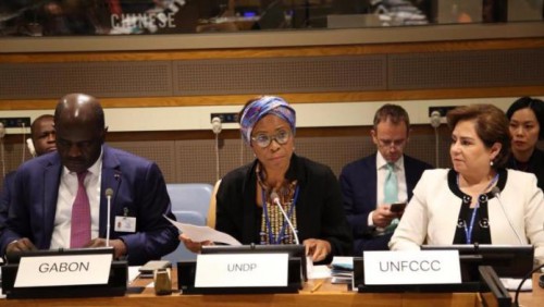 Changements climatiques : L’Inde annonce un soutien direct d&#039;un million de dollars en faveur du Gabon