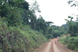BTP : l’entreprise Ebomaf va réaménager l&#039;axe Lébamba-Molo, qui relie le Gabon à la frontière congolaise
