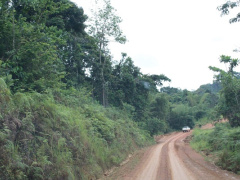 btp-l-entreprise-togolaise-ebomaf-va-reamenager-l-axe-lebamba-molo-qui-relie-le-gabon-a-la-frontiere-congolaise