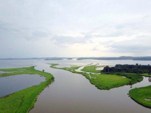 Le Gabon va réaliser une cartographie de la végétation des zones humides du Bas-Ogooué