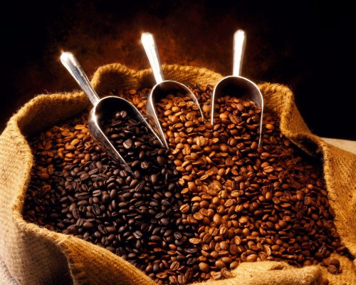L’Etat fixe les prix du café et du cacao pour la campagne 2016-2017