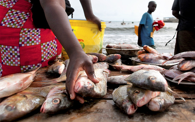 Le Gabon crée un compte de commerce pour loger les recettes issues du prélèvement des ressources halieutiques