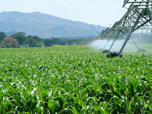 Le Gabon s’inspire de l’expérience agricole russe