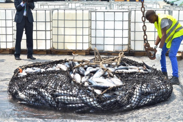 Accord de pêche avec l’Union européenne : une opportunité annuelle de 576 milliards de FCFA à saisir par le Gabon