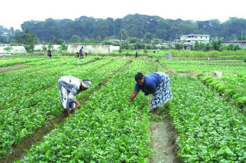 L’agriculture envisage de créer 4 000 emplois en 2018