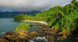 Pour garantir un meilleur cadre de vie aux populations, le gouvernement réorganise les textes sur l’environnement et la protection de la nature