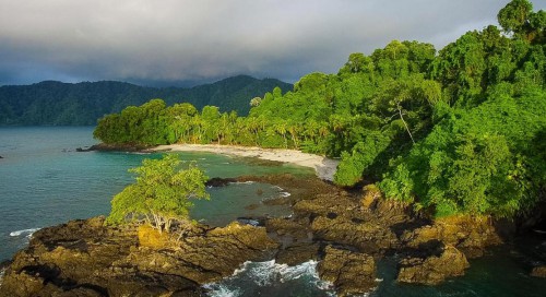 Pour garantir un meilleur cadre de vie aux populations, le gouvernement réorganise les textes sur l’environnement et la protection de la nature