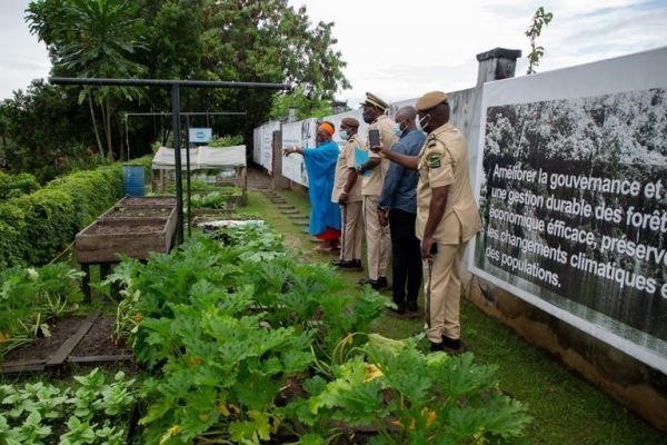 Agriculture : le Gabon implique l’armée dans l’aménagement des zones agricoles