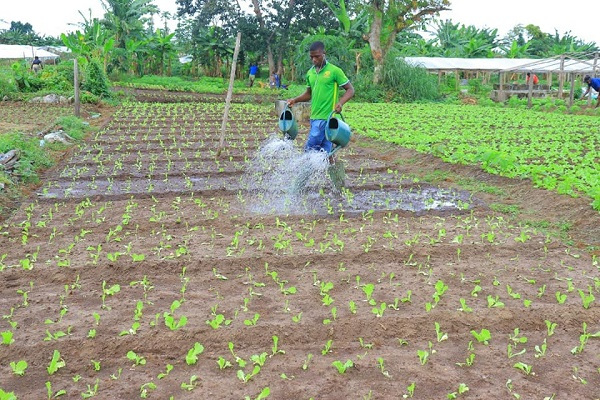 Voie d’accès à l’aéroport de Libreville : 65 exploitants agricoles de l’IGAD Alibadeng seront relogés à Ayemé