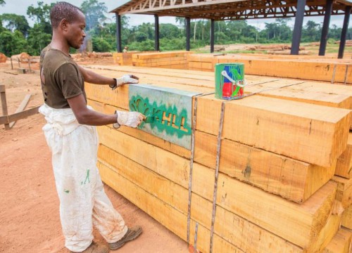 Zerp de Nkok : l’entreprise chinoise KHLL Forestry commence l’exportation des essences Tali et Padouk