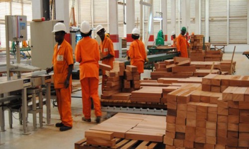 Le Gabon compte inaugurer une usine de transformation du bois, tous les deux mois