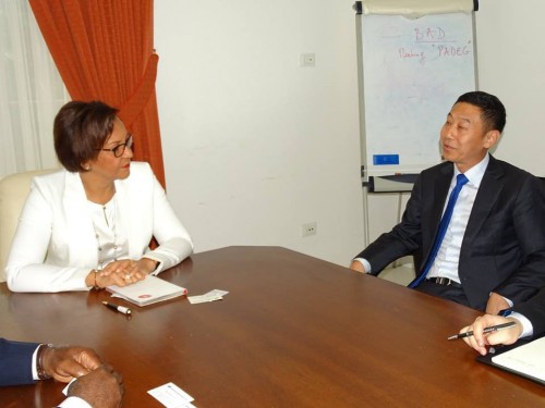 Le groupe chinois Henan Guoji Industry veut investir dans l’énergie, le transport et l’immobilier au Gabon