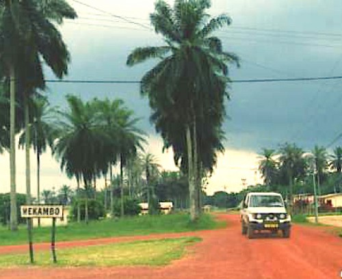 Le lancement de Graine dans l’Ogooué, par Ali Bongo, encore repoussé à une date ultérieure