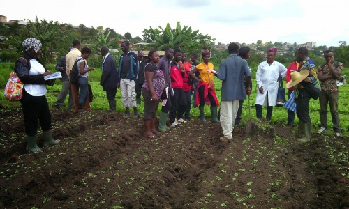 La FAO soutient le Gabon dans le développement du secteur agricole national et la lutte contre le chômage des jeunes