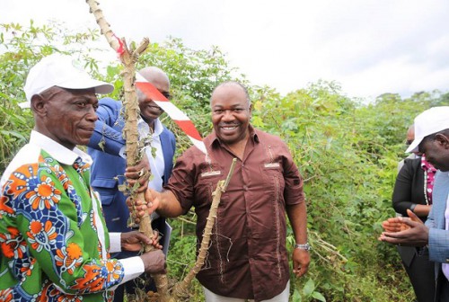 Ali Bongo attendu dans la Remboué, pour le lancement de la seconde phase du projet GRAINE